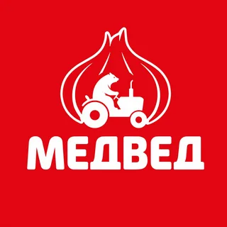 Медвед